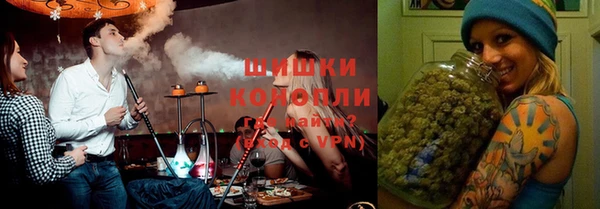 Альфа ПВП Белокуриха