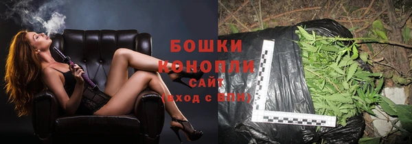 Альфа ПВП Белокуриха