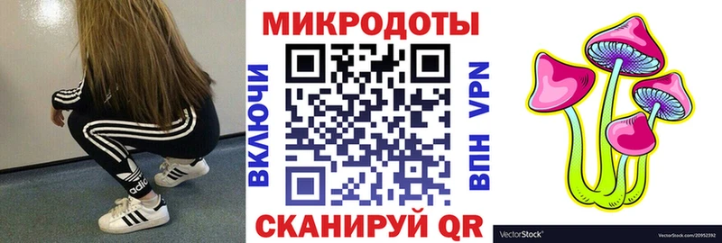 Галлюциногенные грибы Psilocybine cubensis  хочу наркоту  Губкинский 