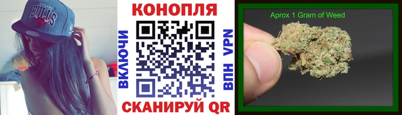 Каннабис MAZAR  Губкинский 